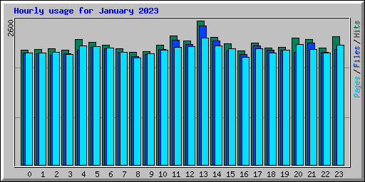 Hourly usage for January 2023